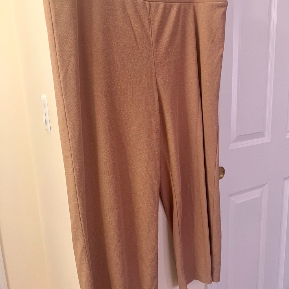 Wide-Leg Ann Taylor Factory Women's Leisure Pants - Tan XL